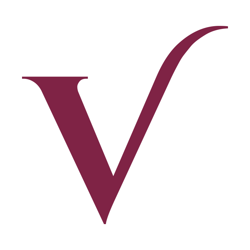 surface brand design letter v initials
