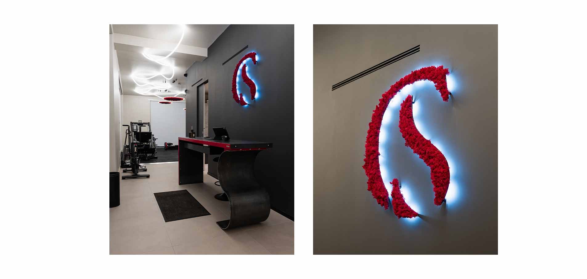 Logo-lettere-iniziali-C-&-S